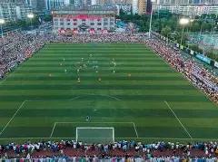 独家揭秘,打豆豆体彩,排列,天津体彩,天津体彩网,天津体彩网官网,体育彩票,体彩大乐透,竞彩足球,体彩公益