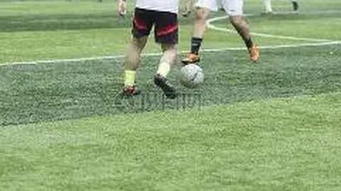 神秘门锁：探索403访问禁止背后的奥秘