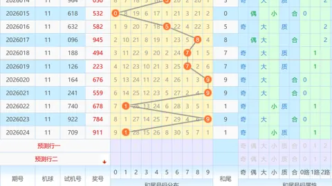 大乐透26022期专家预测：前区十码稳中求胜