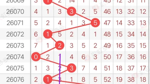 大乐透期号专家推荐：326057过滤一星分析包8、9