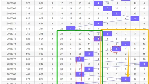 第2026080期 质合分析 排列五2026080期波哥稳准